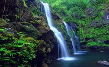 Mở cánh cửa tâm hồn bạn